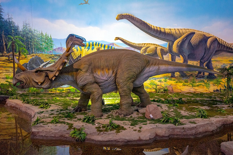 探寻自然与历史的魅力,走进大自然了解历史人文