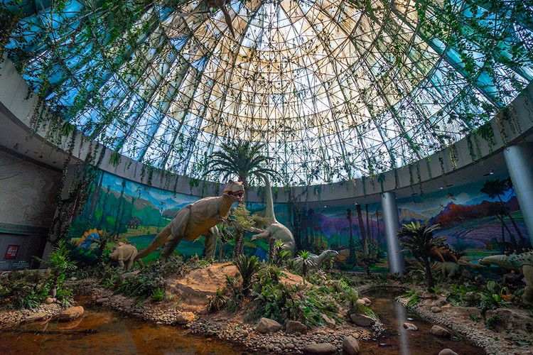 探寻自然与历史的魅力,走进大自然了解历史人文