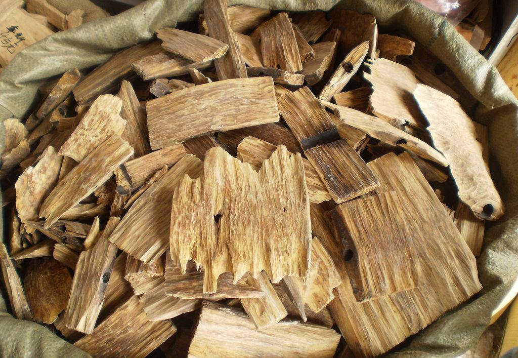 越南为什么产沉香,真正的越南沉香是怎么样的