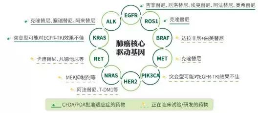 基因检测在癌症诊疗上的最新应用