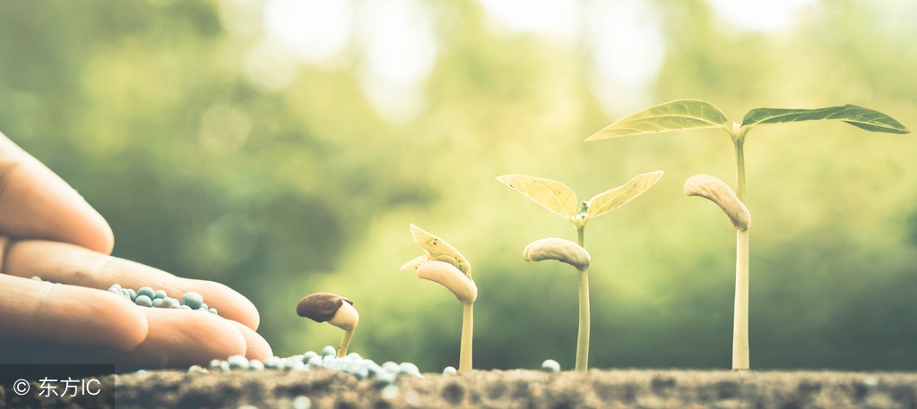感念师恩关于教师节的诗歌朗诵,童心绽放感念师恩教师节主题