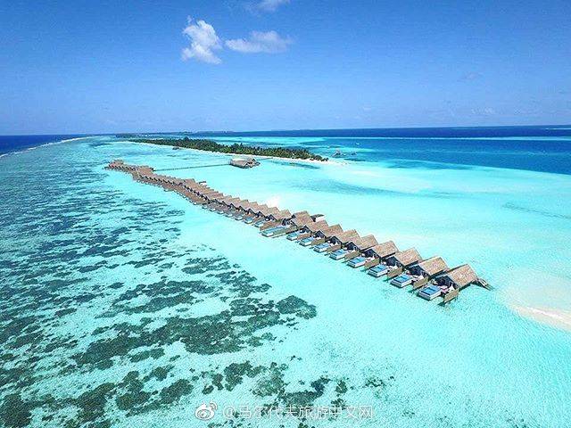 马尔代夫最强选岛攻略!摇旗呐喊一定要看!