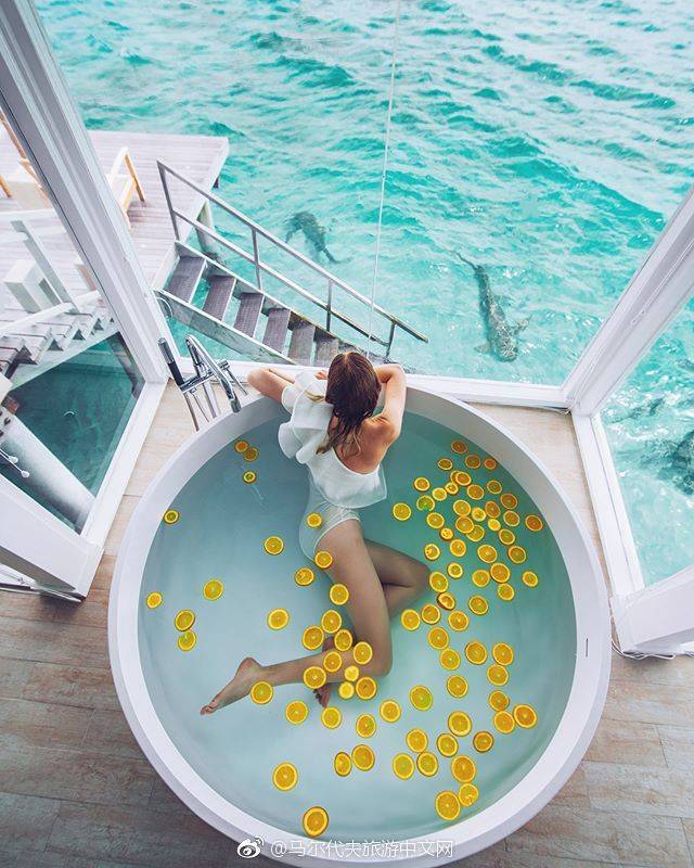 马尔代夫最强选岛攻略!摇旗呐喊一定要看!