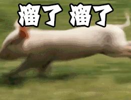 电子商务法中对代购是如何规定的,我国跨境电子商务的税收政策