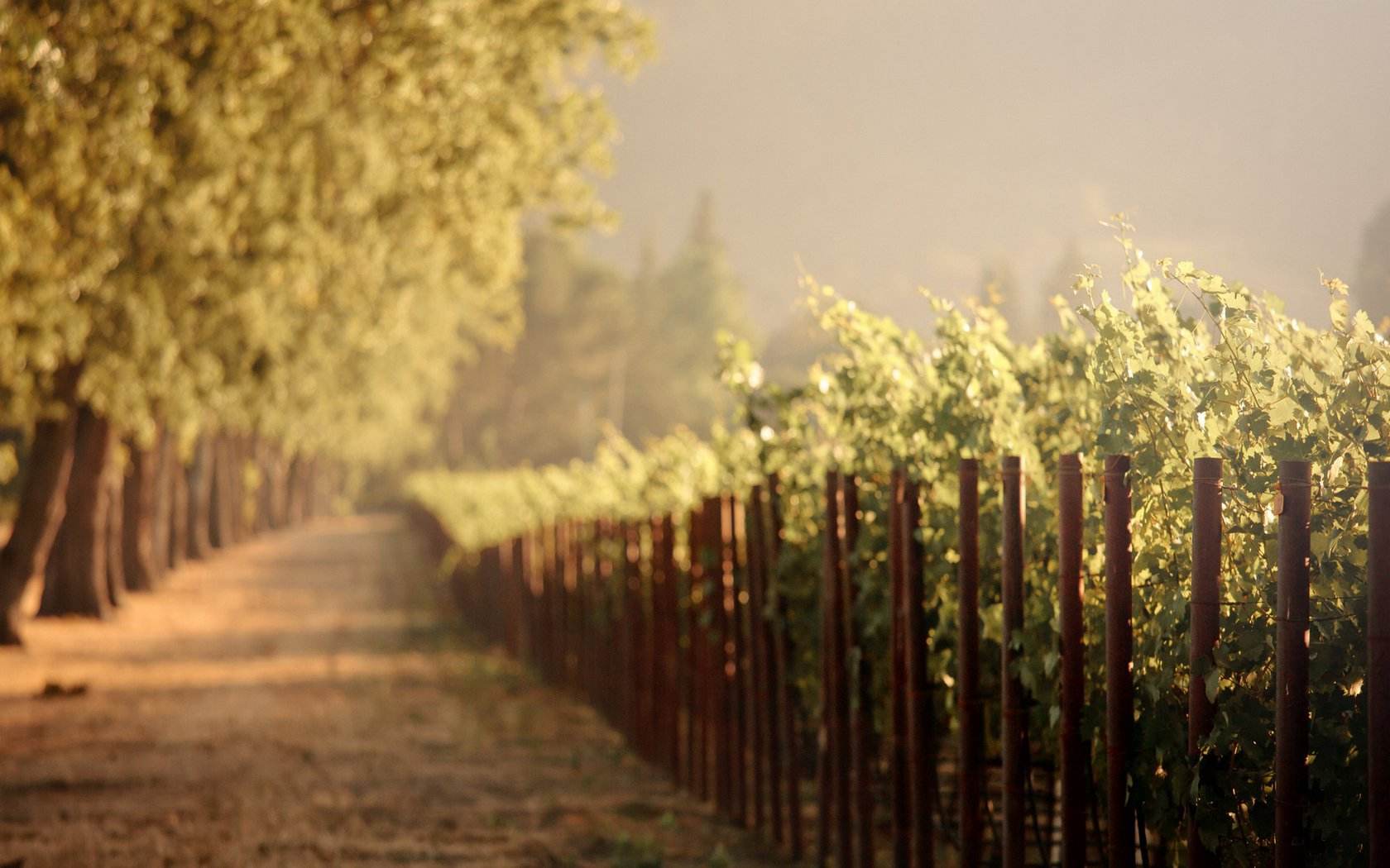 抖腿的行为心理学解释,心理学一个人经常抖腿说明了什么