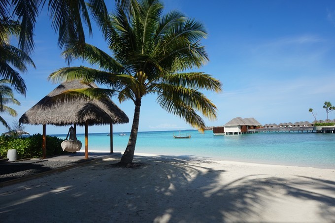 马尔代夫最强选岛攻略!摇旗呐喊一定要看!