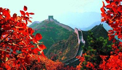 中日韩通用汉字808字对照表,中日韩共用常见808汉字表