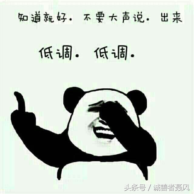 低调是最高的境界,有关低调的经典语录