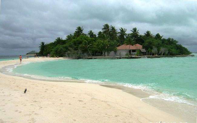 马尔代夫最强选岛攻略!摇旗呐喊一定要看!