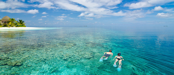 马尔代夫最强选岛攻略!摇旗呐喊一定要看!