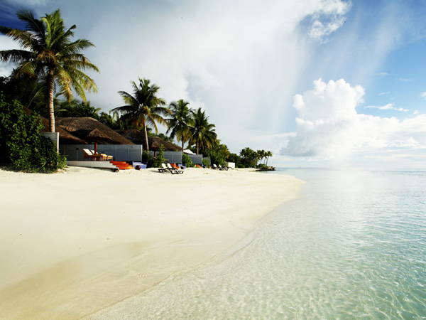 马尔代夫最强选岛攻略!摇旗呐喊一定要看!