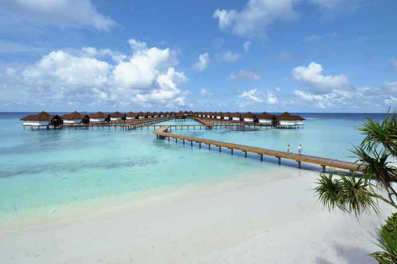 马尔代夫最强选岛攻略!摇旗呐喊一定要看!