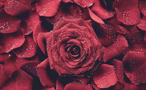 教师节送戒尺给老师合适吗,教师节送老师杯子她会收吗