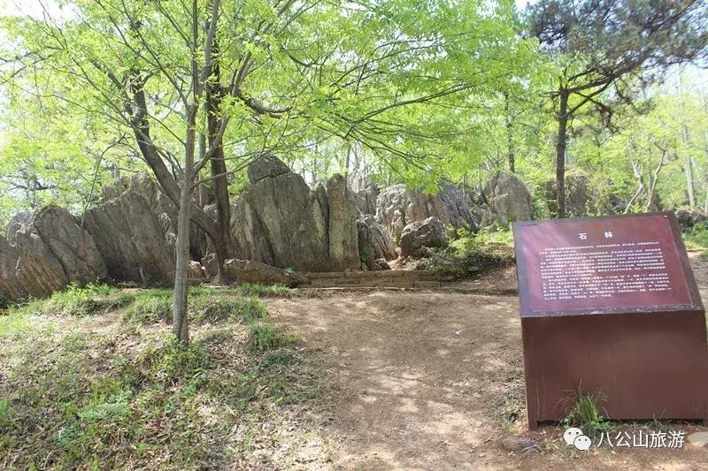 九月的八公山，我想重新认识你！