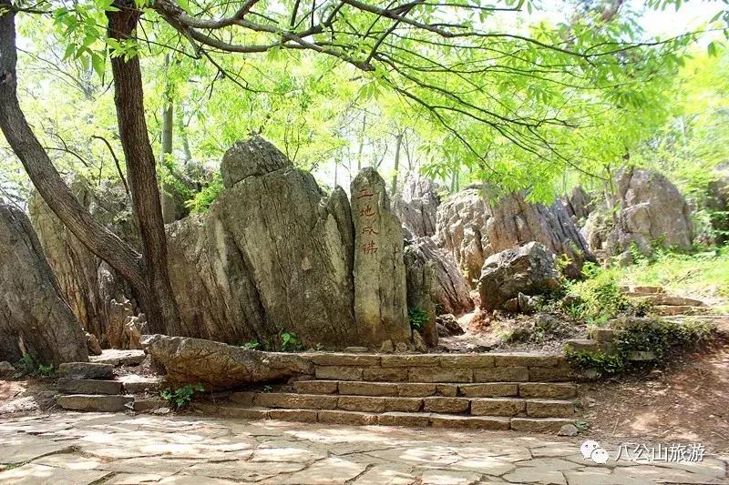 九月的八公山，我想重新认识你！