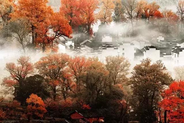 秋天婺源自由行攻略,秋天婺源游玩最新攻略