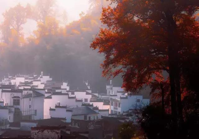 秋天婺源自由行攻略,秋天婺源游玩最新攻略