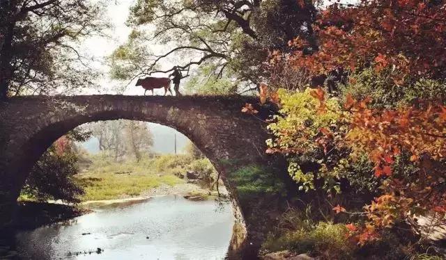 秋天婺源自由行攻略,秋天婺源游玩最新攻略