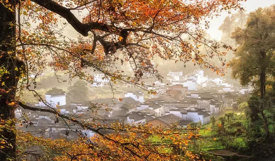 秋天婺源自由行攻略,秋天婺源游玩最新攻略