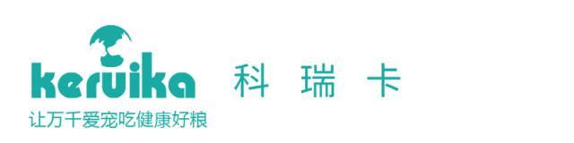 美短猫纹路有深有浅,美短猫纹路越深越好吗