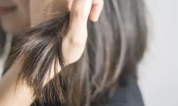 亲测护发精油,日本原装进口治白发洗发水