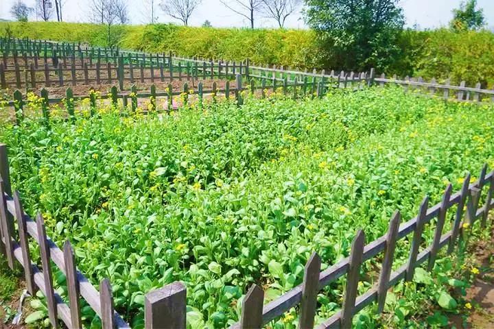 天空之城亲子主题乐园怎么玩,建造一个天空之城