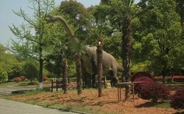 天空之城亲子主题乐园怎么玩,建造一个天空之城