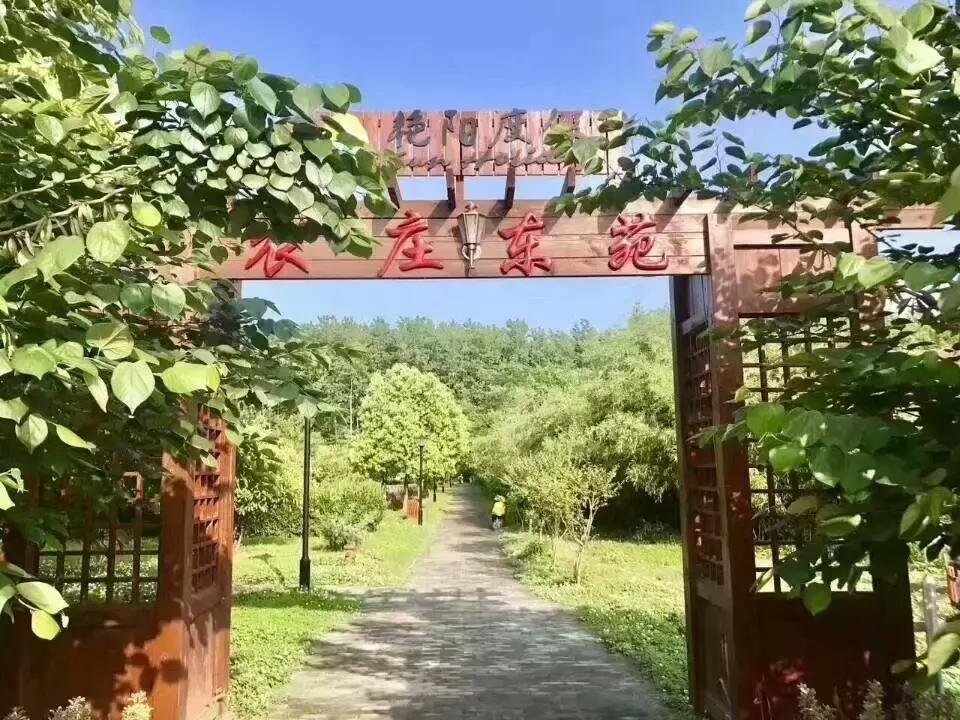 天空之城亲子主题乐园怎么玩,建造一个天空之城