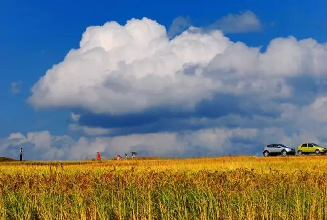贵州什么季节最合适去旅行,未来三年贵州旅游攻略计划
