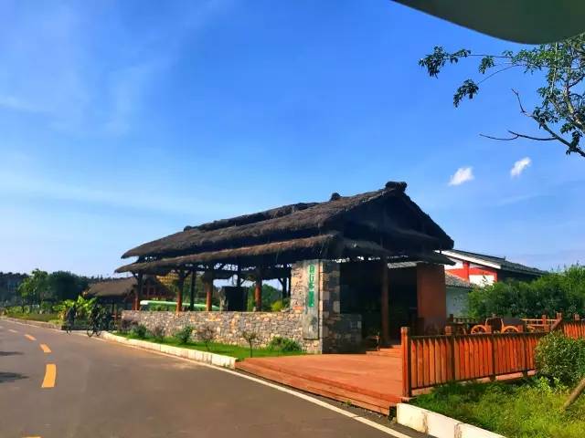 贵州什么季节最合适去旅行,未来三年贵州旅游攻略计划