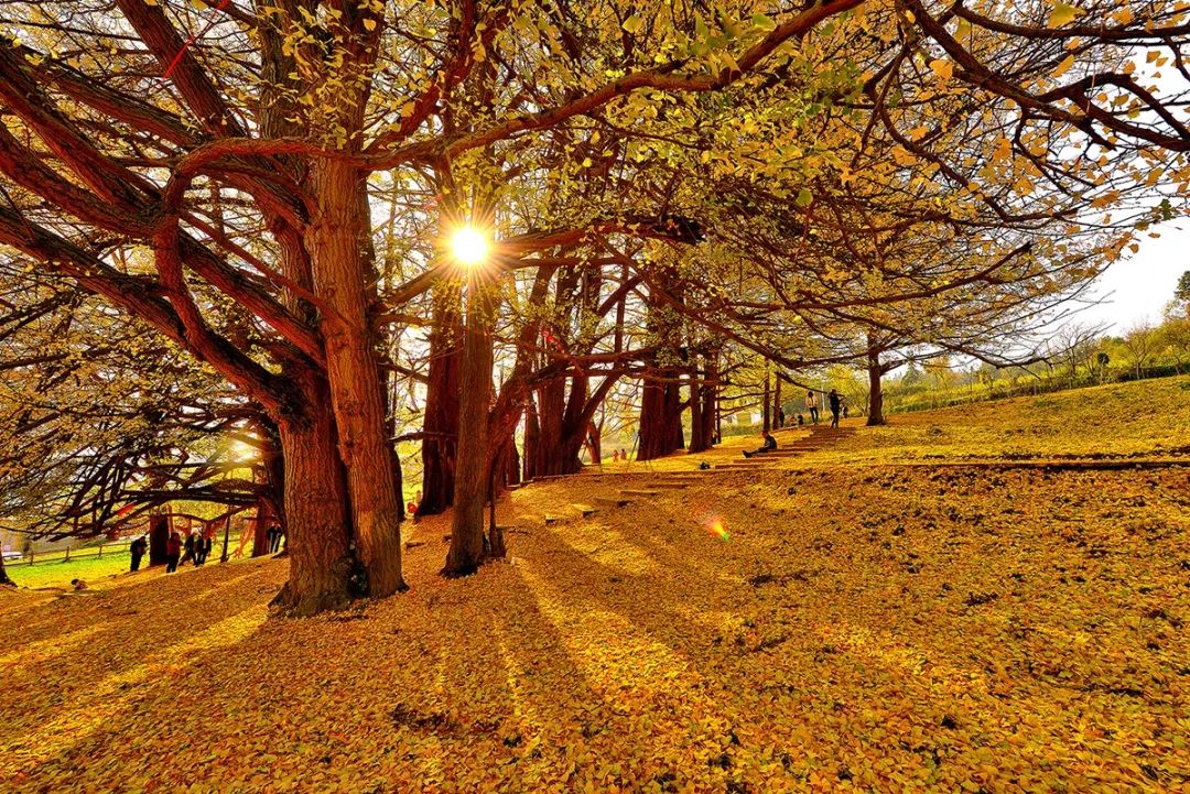 贵州什么季节最合适去旅行,未来三年贵州旅游攻略计划