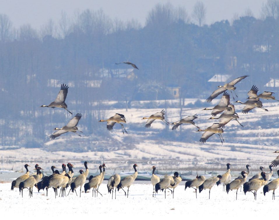 贵州什么季节最合适去旅行,未来三年贵州旅游攻略计划