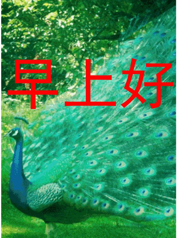 10月14日早上好祝福粤语,10月29日早上好祝福