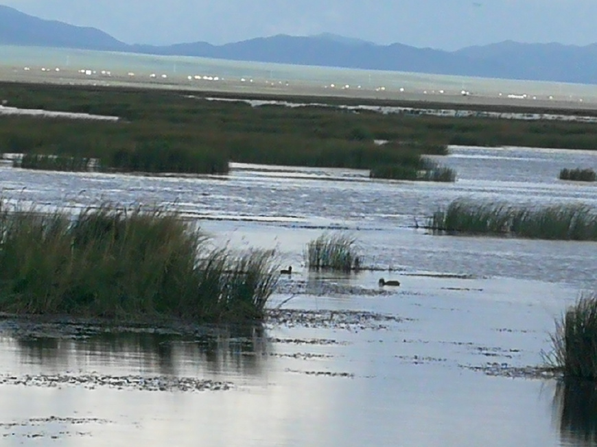 银行卡有签约不能注销怎么办,银行卡丢了能不能直接注销