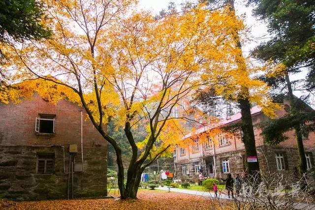 庐山感受李白笔下的诗情画意,世界文化遗产庐山