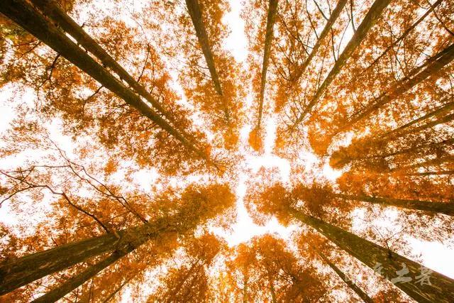 庐山感受李白笔下的诗情画意,世界文化遗产庐山