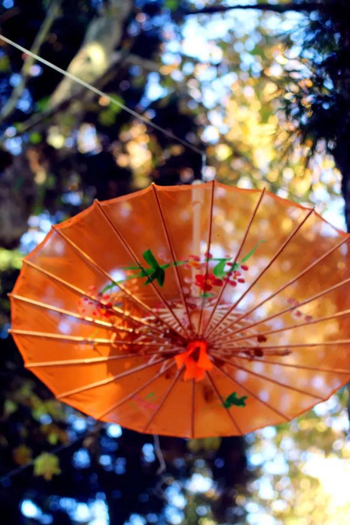 庐山感受李白笔下的诗情画意,世界文化遗产庐山