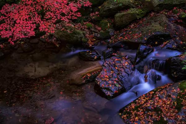 庐山感受李白笔下的诗情画意,世界文化遗产庐山