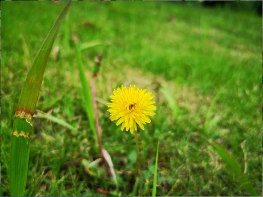 荣耀note10评测,荣耀note10综合测评