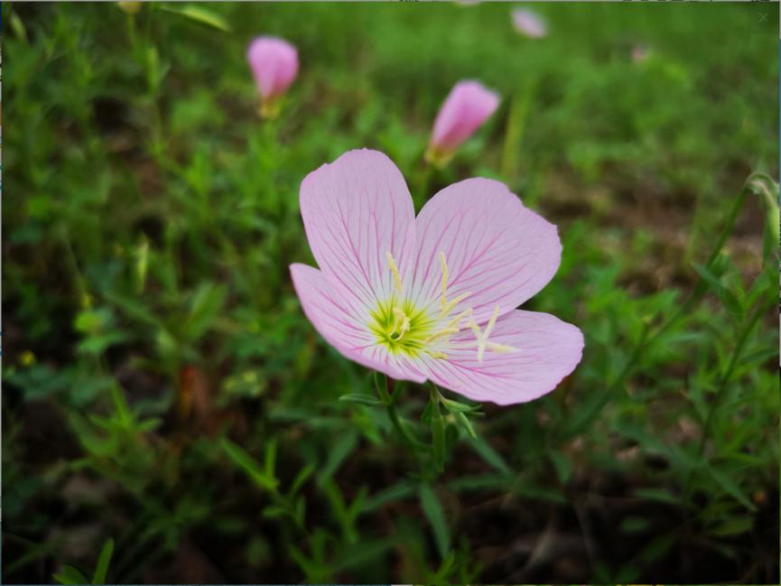 荣耀note10评测,荣耀note10综合测评