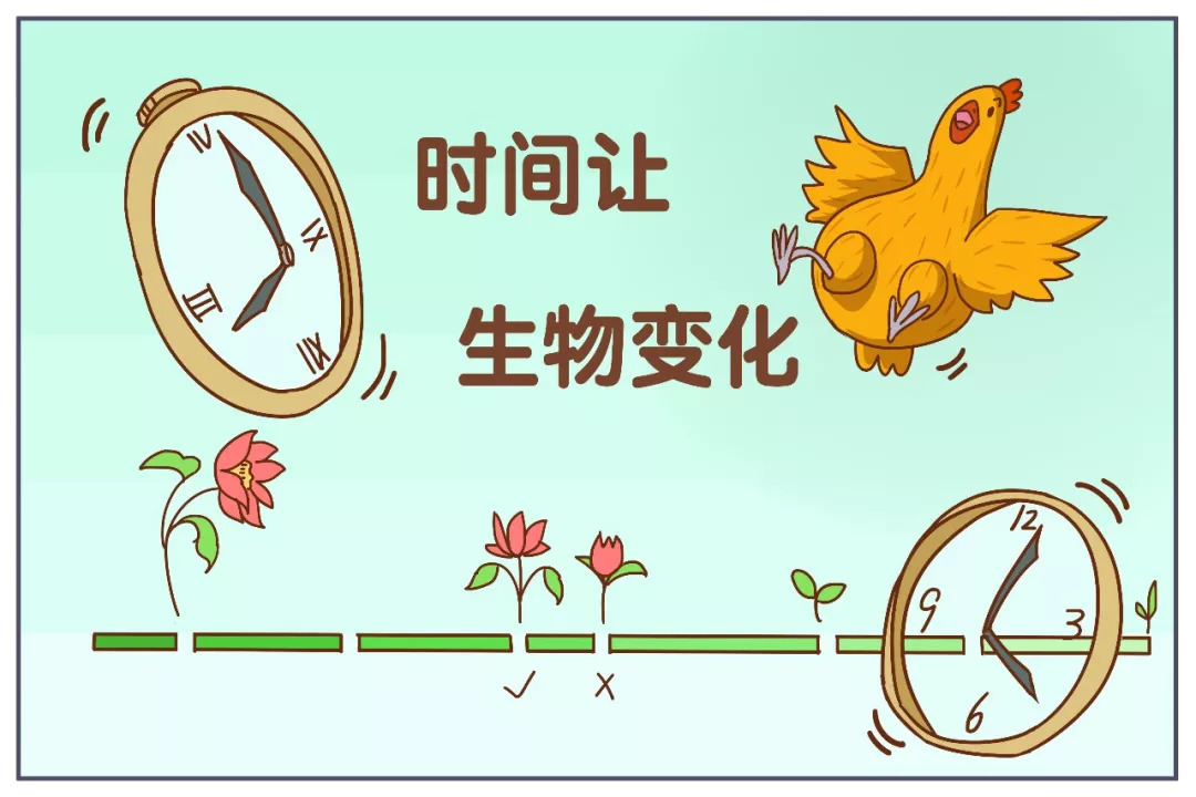 进化论是适者生存吗,适者生存达尔文进化论