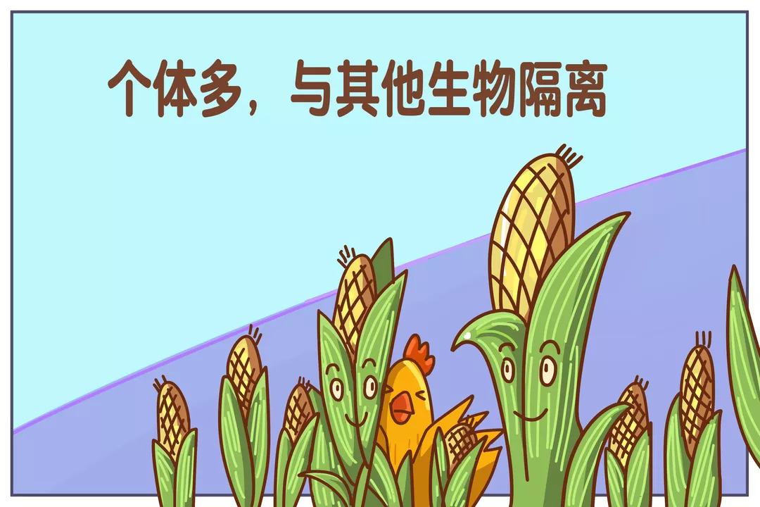 进化论是适者生存吗,适者生存达尔文进化论