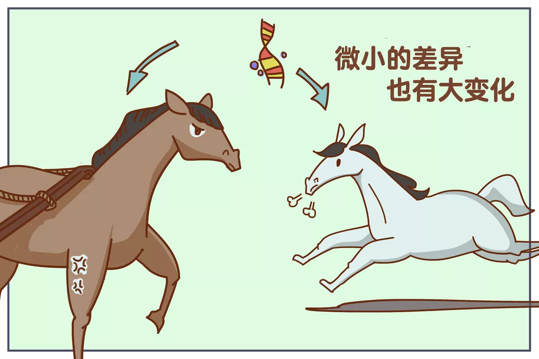 进化论是适者生存吗,适者生存达尔文进化论