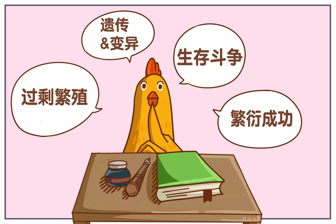 进化论是适者生存吗,适者生存达尔文进化论