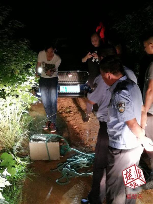 男子偷保险柜现金100元被抓新闻,盗取保险柜25万现金