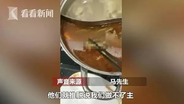 呷哺火锅吃出老鼠后续结论,呷哺呷哺吃出老鼠调查结果