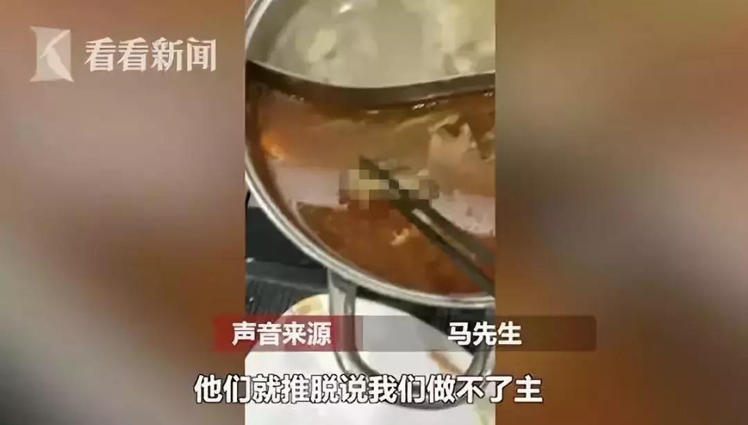 孕妇火锅店里吃出老鼠,孕妇呷哺呷哺吃火锅捞出老鼠