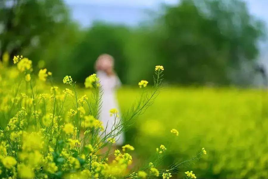 孩子不愿和家长沟通该怎么办,孩子不愿意与家长沟通的原因