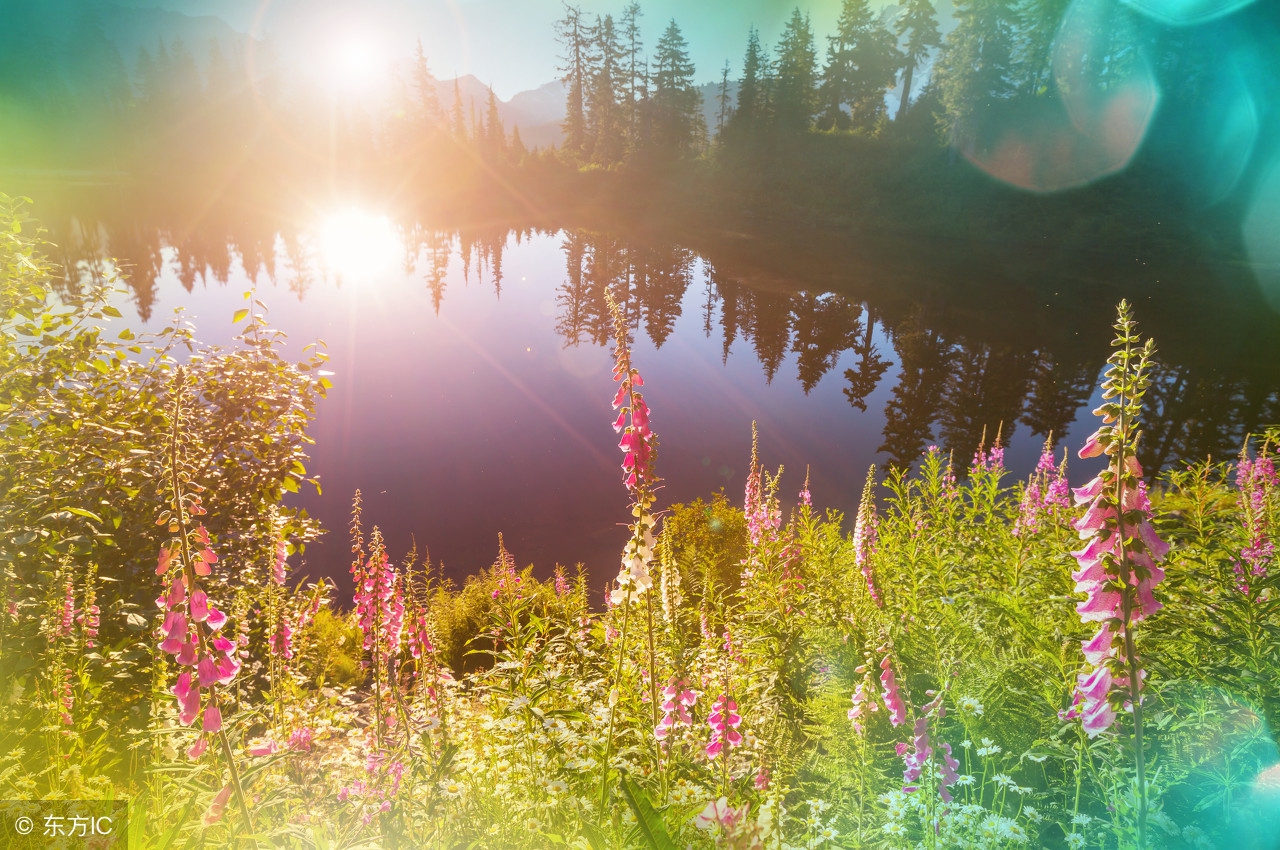 html怎么设置图片中的文字,html怎么设置图片左边文字