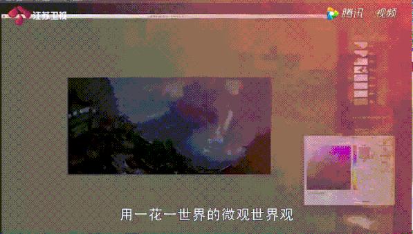 甜的磕牙，虐的肝颤，它凭什么前30集封神？